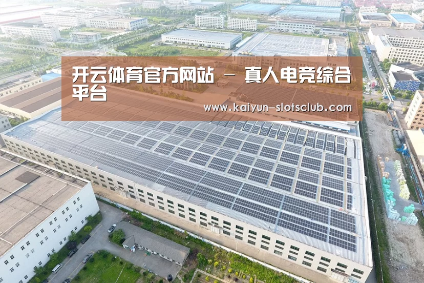 案例展示二