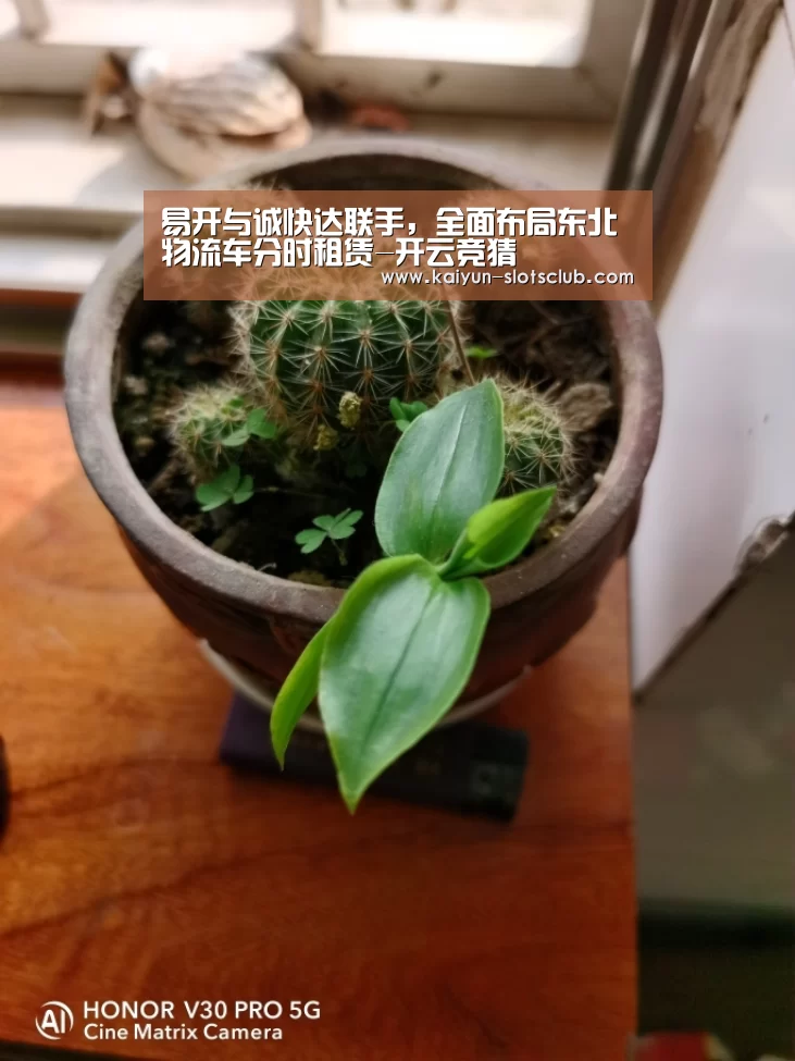 易开与诚快达联手,全面布局东北物流车分时租赁-开云竞猜(图1) 开云赛事