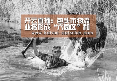 开云直播:包头市物流业将形成“六园区”和“一支点”新发展格局(图1) 开云竞猜